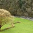 paisaje ancares